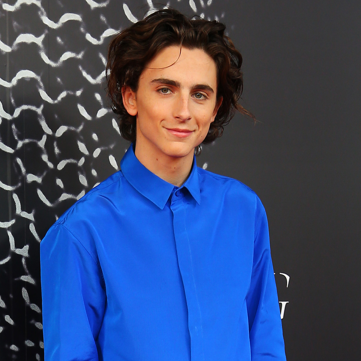 Timothée Chalamet Wore a Shimmery Halter Top to the 'Bones And All'  Premiere in Venice - Fashionista