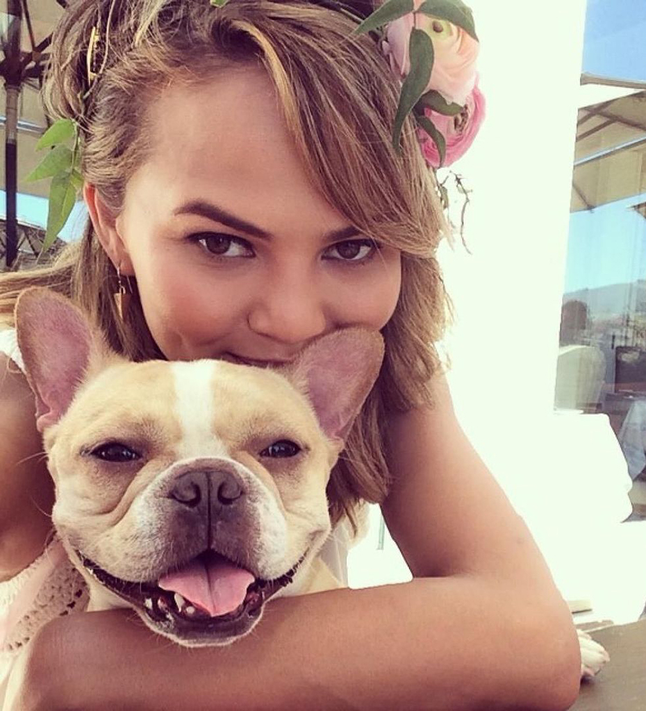 Chrissy Teigen Mourns Death Of Her And John Legend S Beloved Dog Pippa E Online