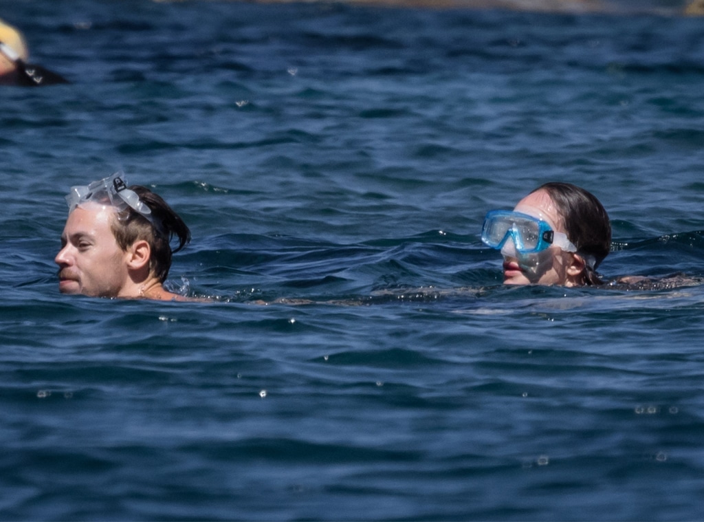 Olivia Wilde, Harry Styles, PREMIUM EXCLUSIVE