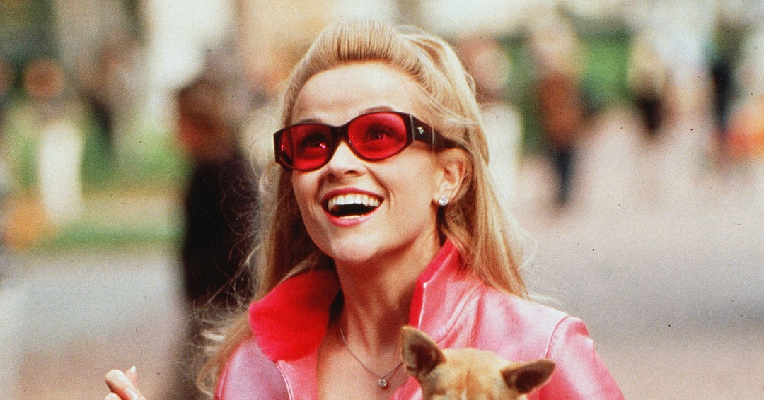 Legally Blonde Secrets That Are Just Like College, Only Funner Legally Blonde Secrets That Are Just Like College, Only Funner
