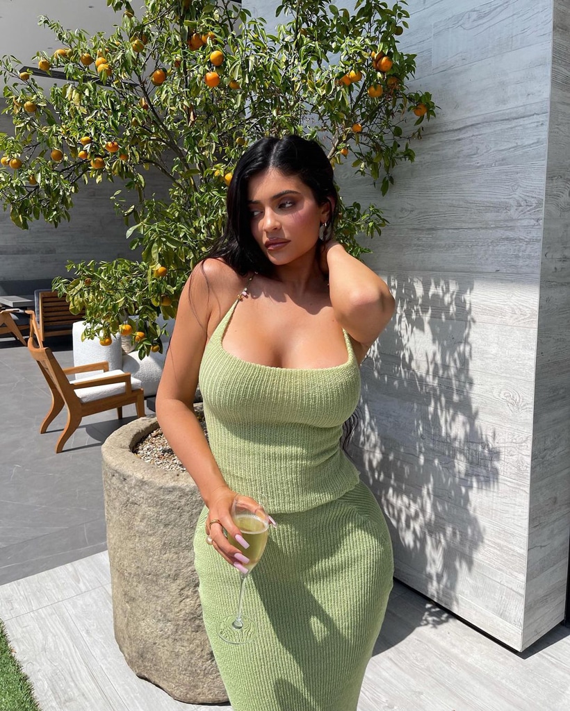 Go Inside Kylie Jenner's 24th Birthday Celebration With Painting ...