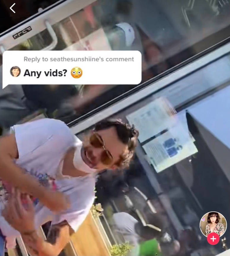 Harry Styles TikTok