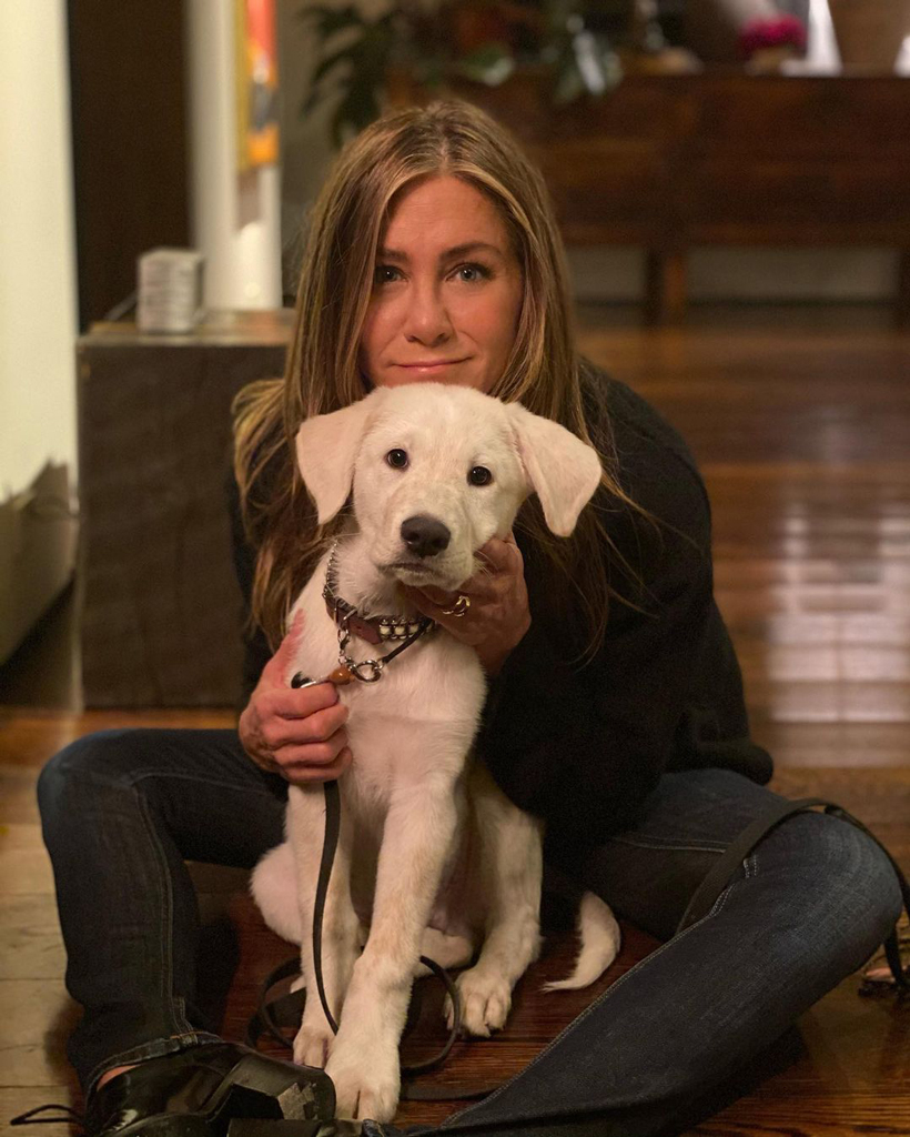 Jennifer Aniston, National Dog Day, Instagram