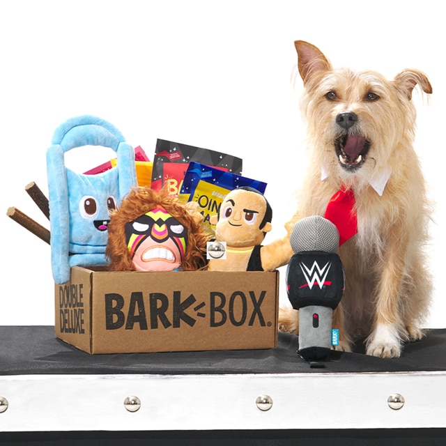 10 Products to Spoil Your Dog in 2021