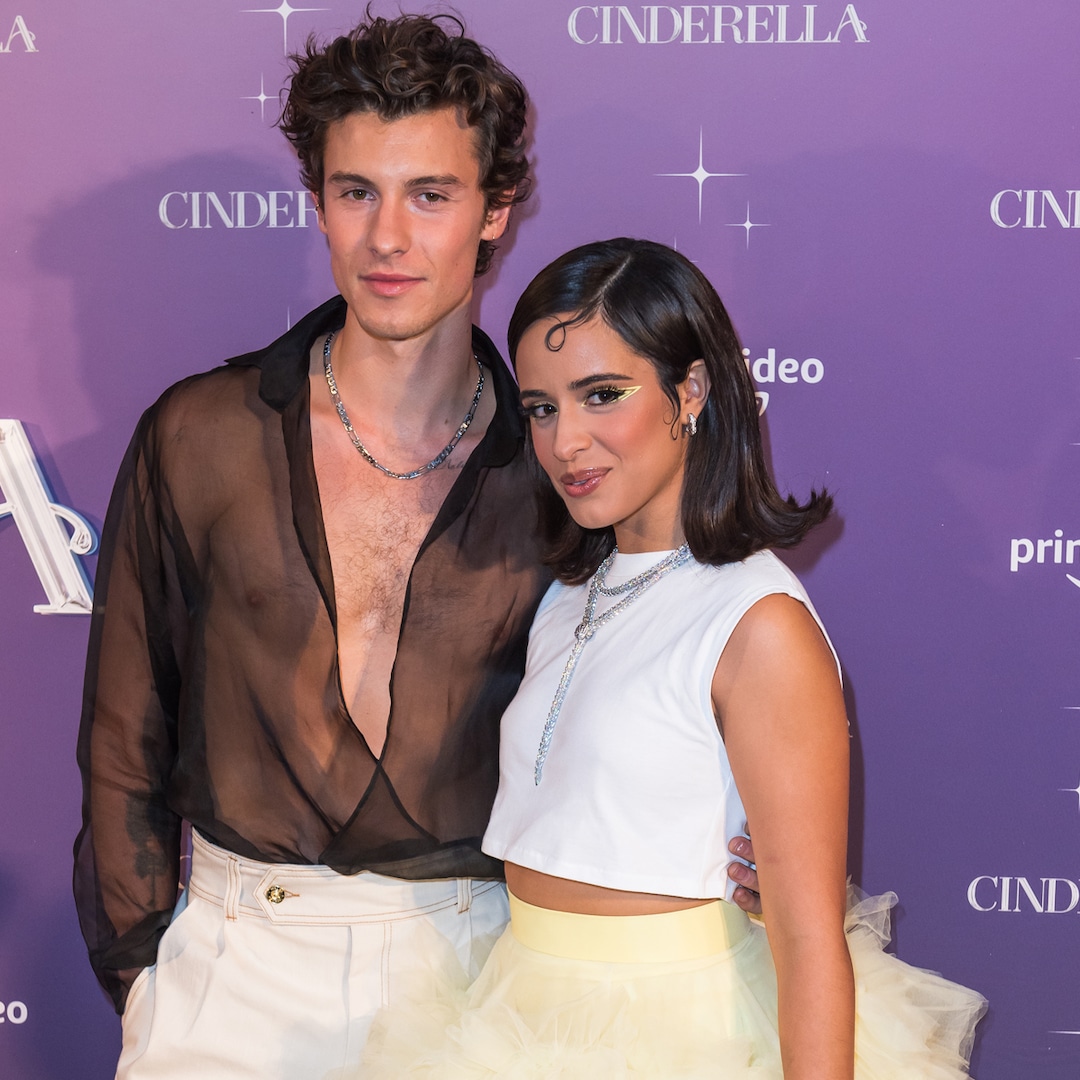 What Went Down Between Camila Cabello and Shawn Mendes as They Ended "Stale" Relationship