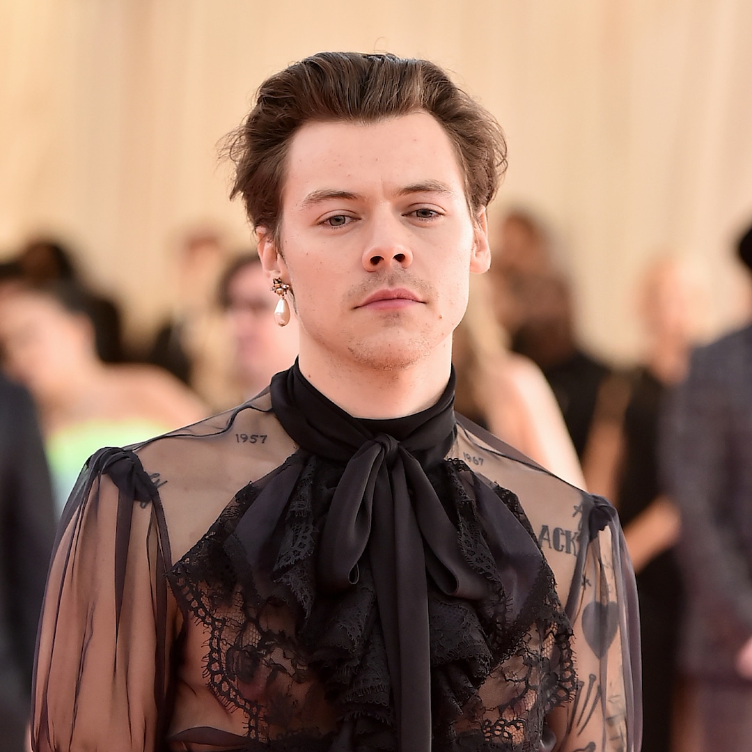 Harry Styles Joins the MCU: All the Details on His Surprise Eternals Role - E! NEWS