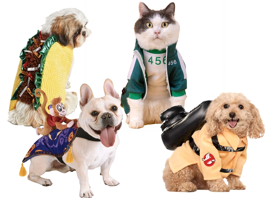 E-comm: Pet Halloween Costumes