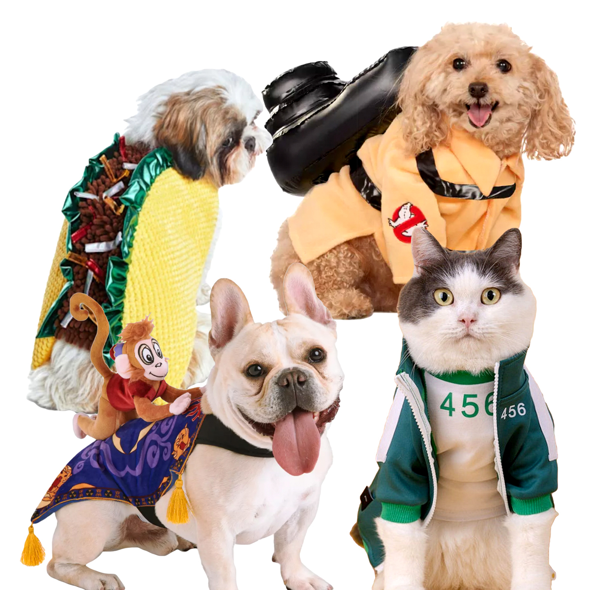 13 Pawfect Halloween Costume Ideas For You And Your Dog