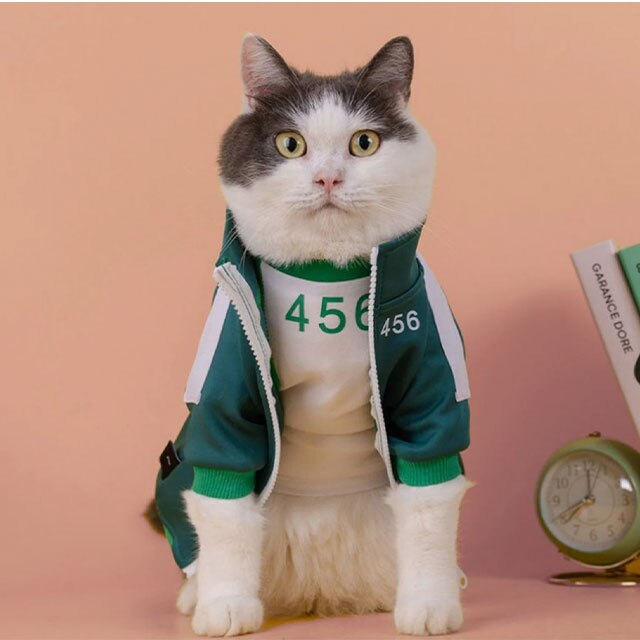 squid game costume cat
