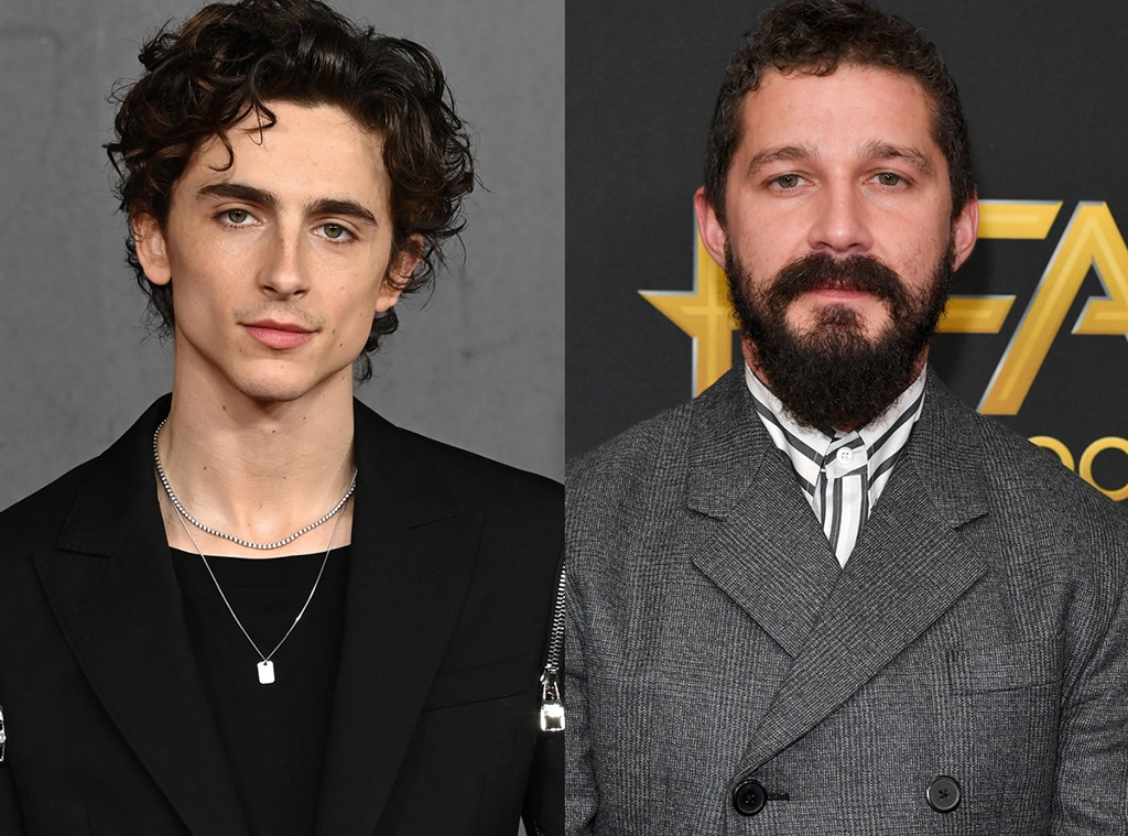 Shia LaBeouf Almost Played Oliver in Call Me By Your Name