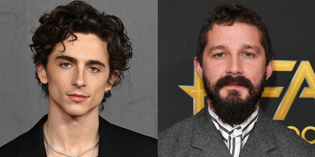 Shia LaBeouf Almost Played Oliver in Call Me By Your Name