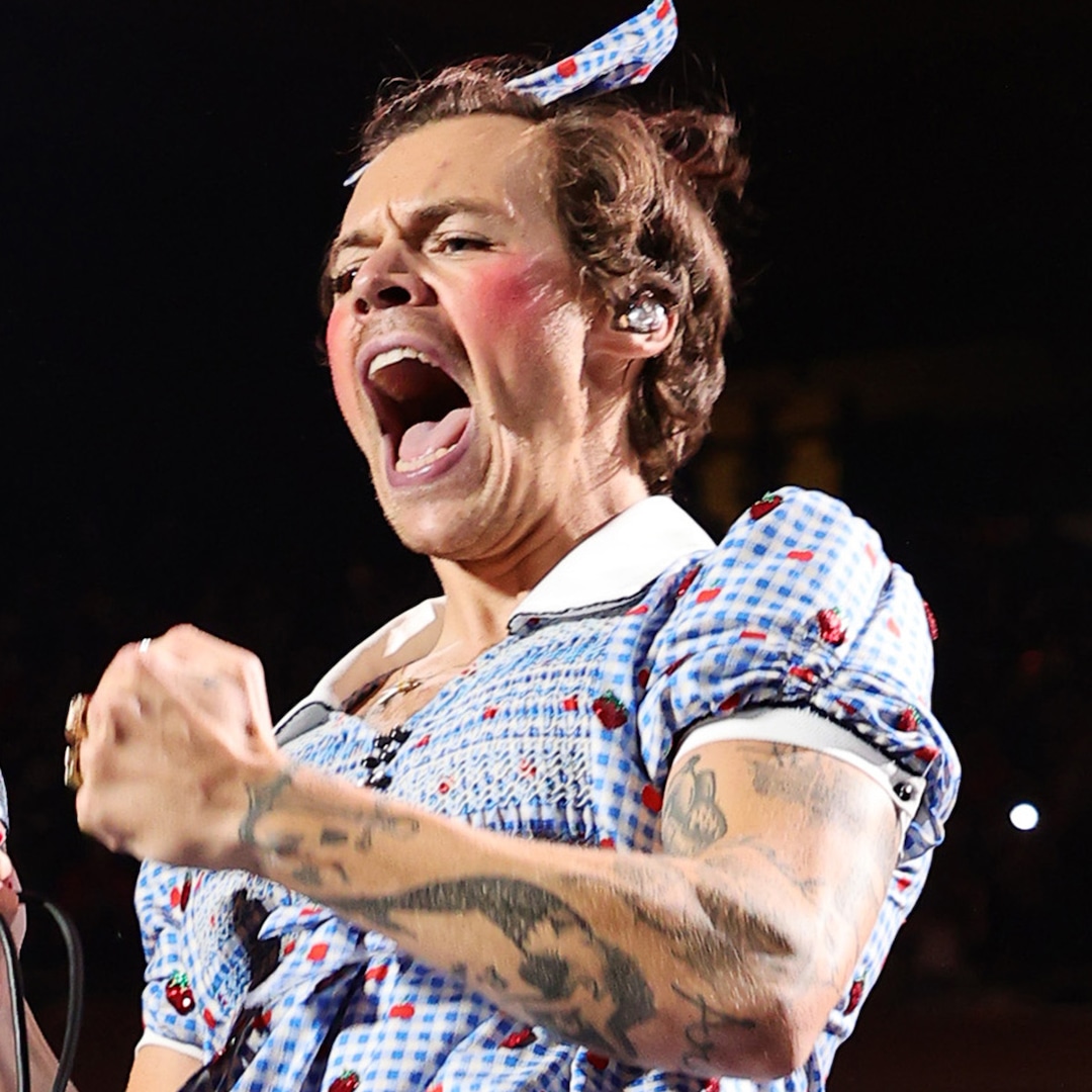 Harry Styles Dresses Up as Dorothy From The Wizard of Oz at Halloween-Themed Concert
