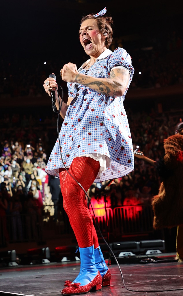 Harry Styles Dresses Up as Wizard of Oz's Dorothy Onstage