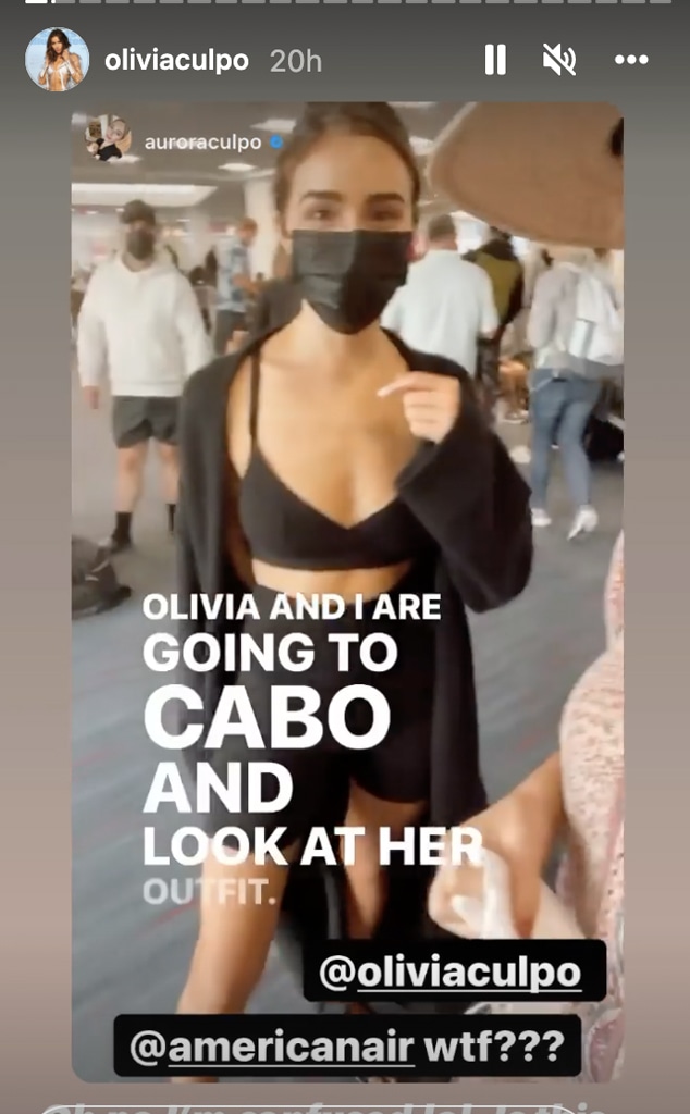 Olivia Culpo, Instagram