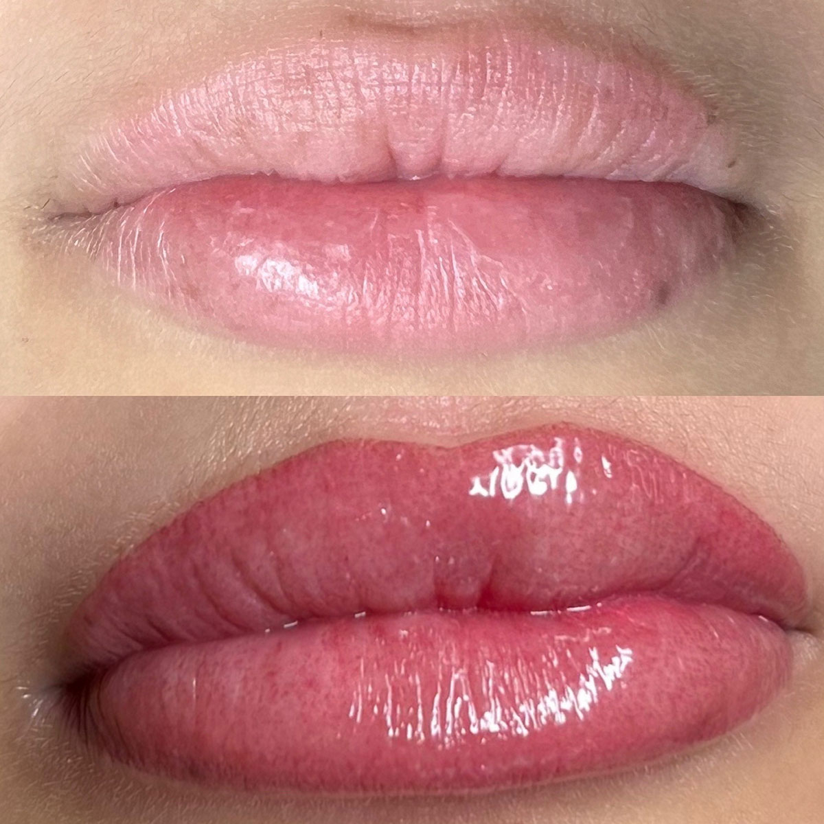 Udgravning Reklame Tage med Everything You Need to Know About Lip Blushing - E! Online