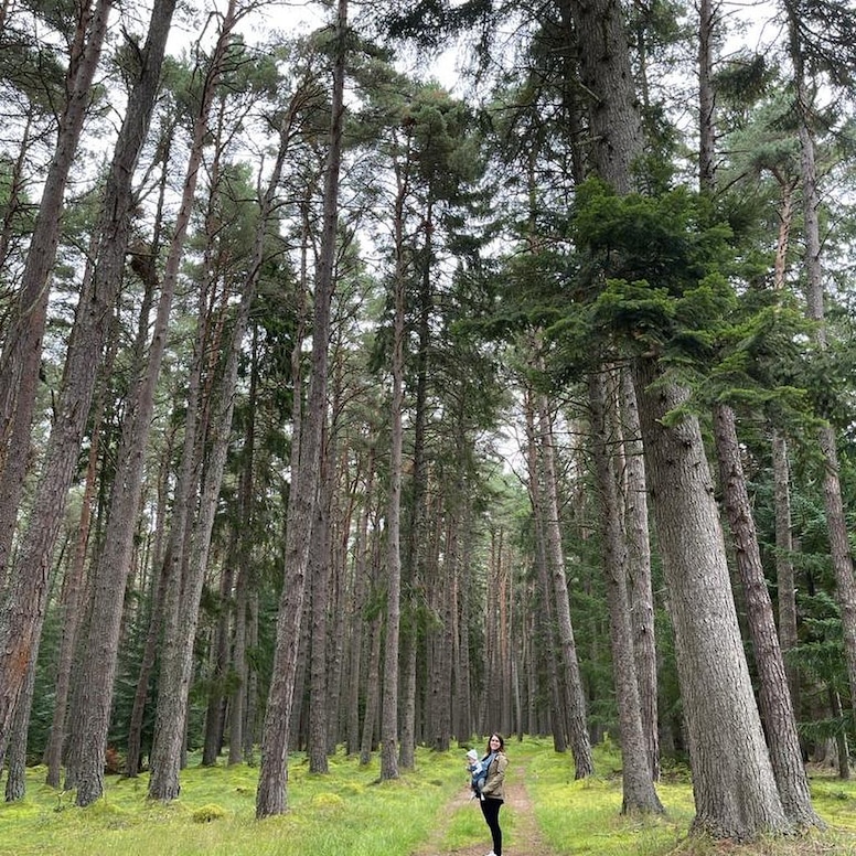 Princess Eugenie, August Brooksbank