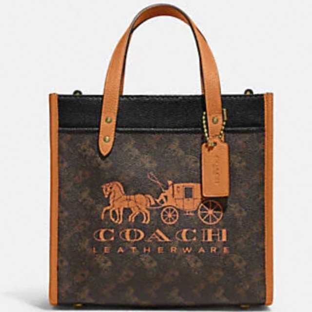 Megan thee stallion online coach purse