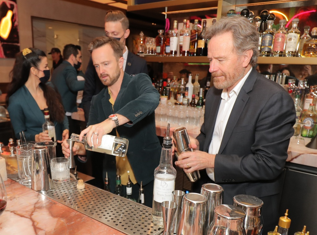 Bryan Cranston, Aaron Paul