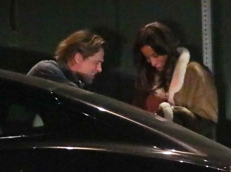Photos from Brad Pitt's Birthday Dinner With Ines de Ramon