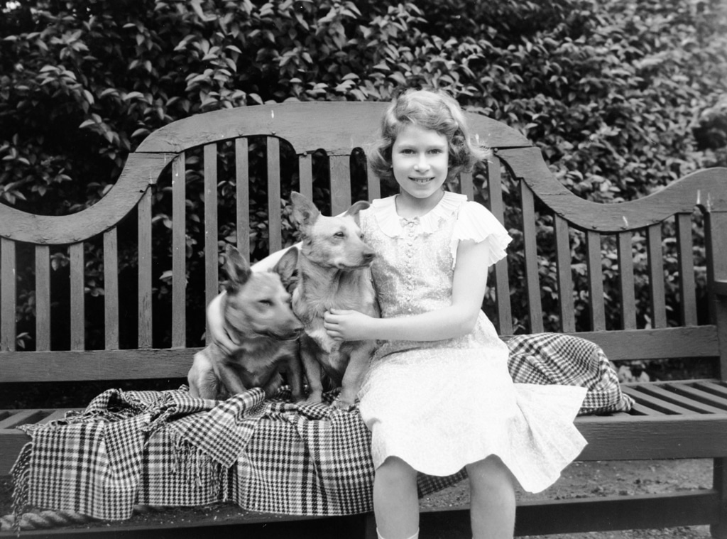 Queen Elizabeth, Corgis, Young