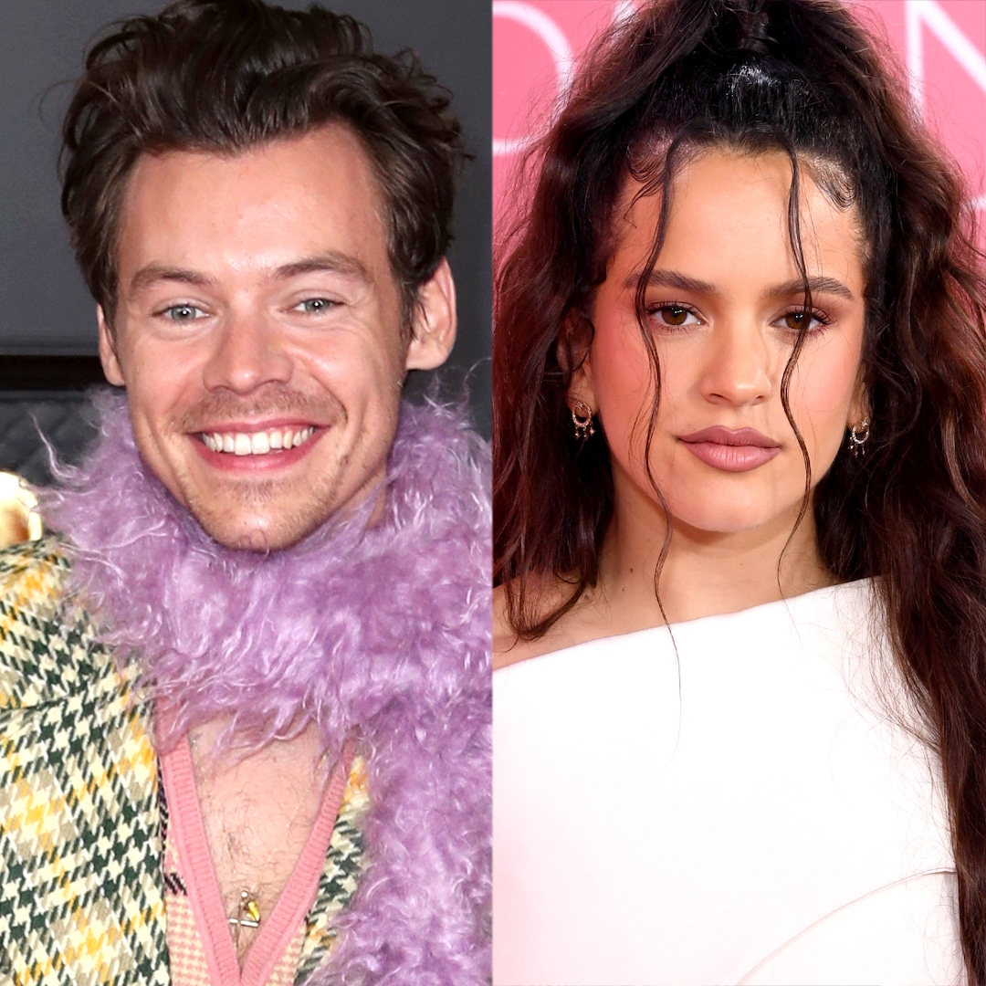 Harry Styles Accidentally Texted a Stranger Instead of Rosalía - E! Online