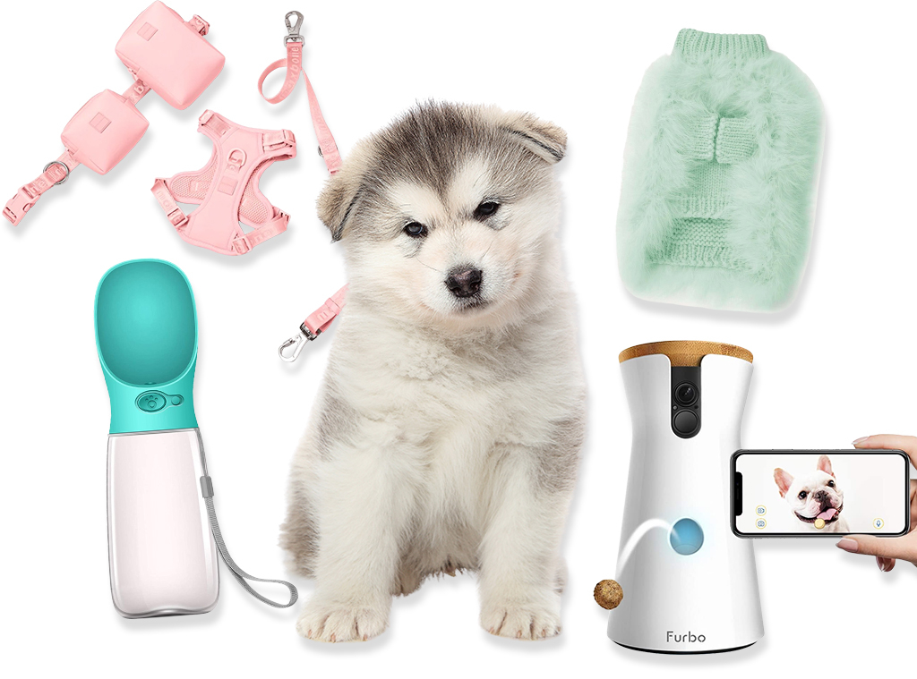 Celebrate National Puppy Day With These 25 Pawfect Gifts