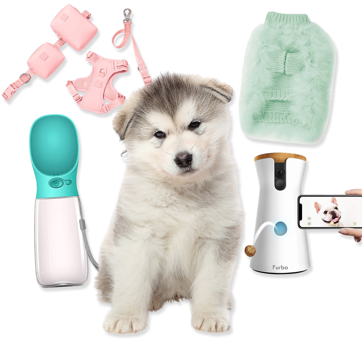 Custom Pet Stainless Steel Water Bottle, Custom Dog Water Bottle, Dog Lover  Gift, Cat Lover Gift, Water Bottle, Personalized Pet Gift 