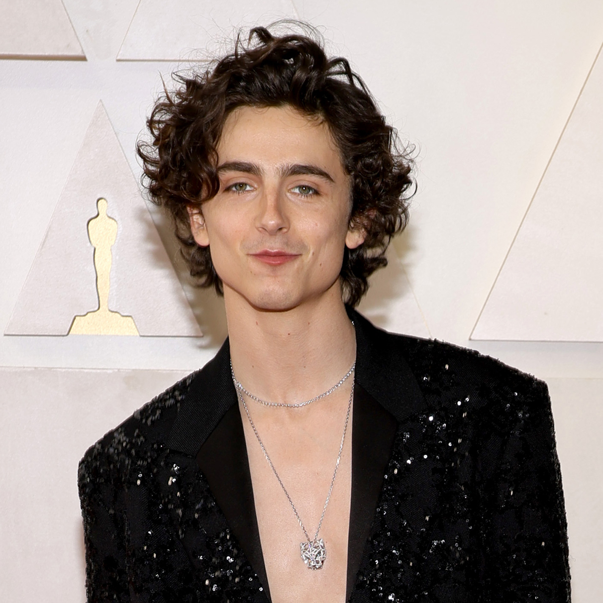 Timothee Chalamet Teams Up With Kid Cudi For Out of This World TV series Entergalactic