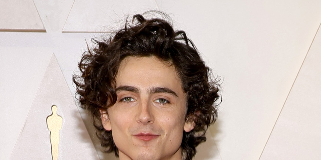 Timothee Chalamet Teams Up With Kid Cudi For Out of This World TV series Entergalactic - E! Online.jpg