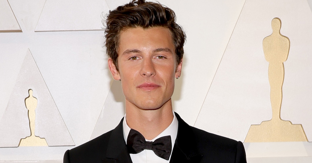 Shawn Mendes Shares Honest Message About Feeling "Overwhelmed and Overstimulated" thumbnail