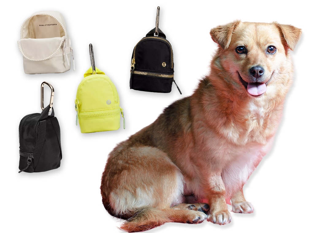 E-comm: Lululemon Dog Backpack