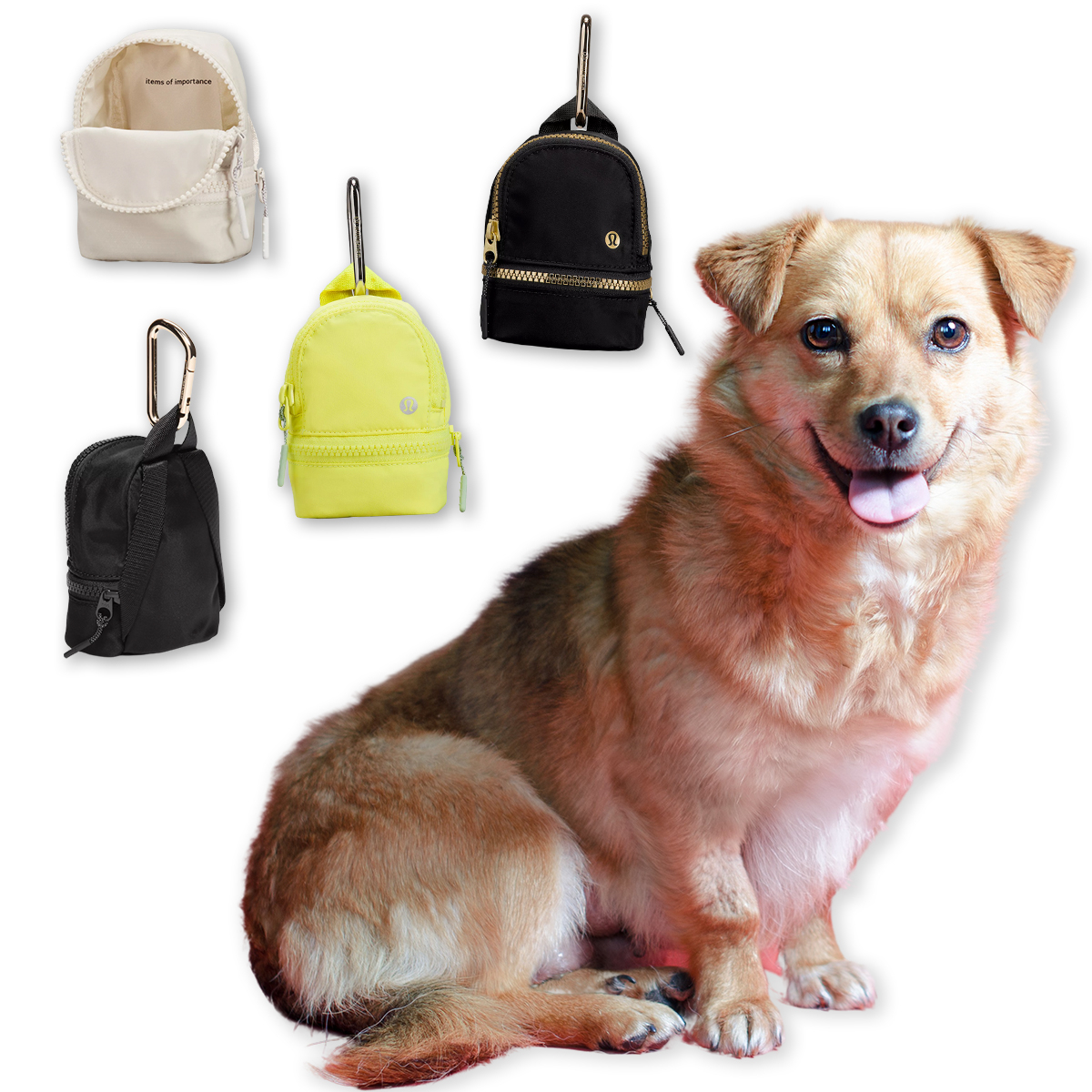 mini dog lv backpack｜TikTok Search