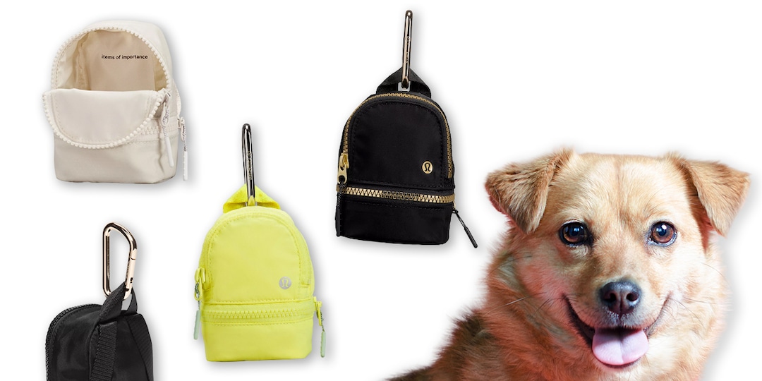 Lululemon mini dog backpack Clearance