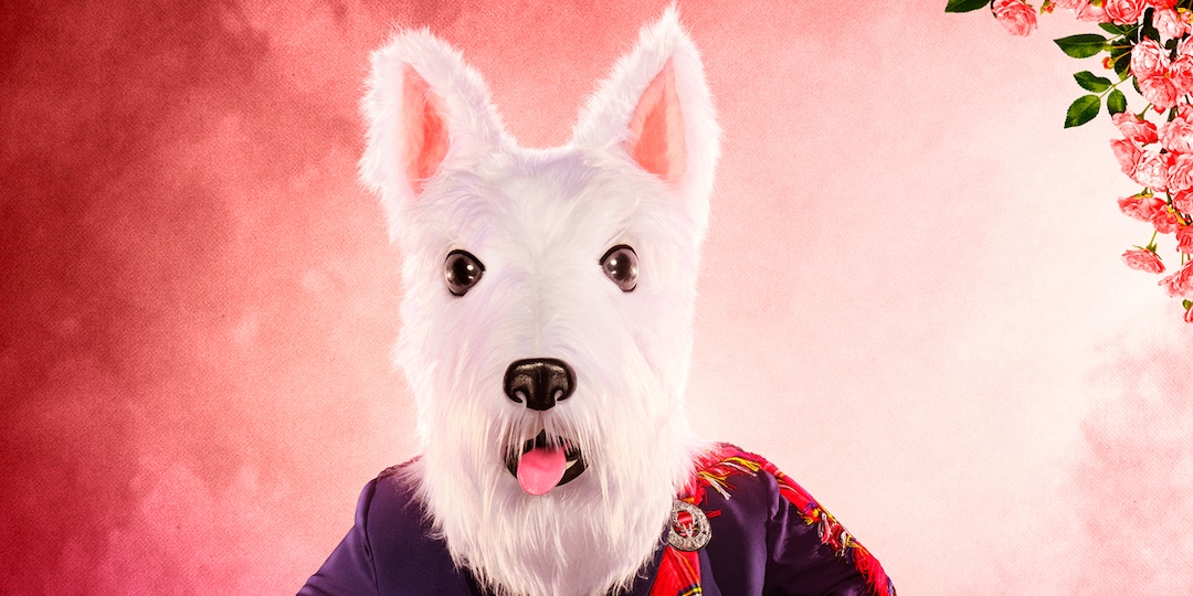 Find Out Who Was Inside the Terrier Costume On The Masked Singer – E! Online
