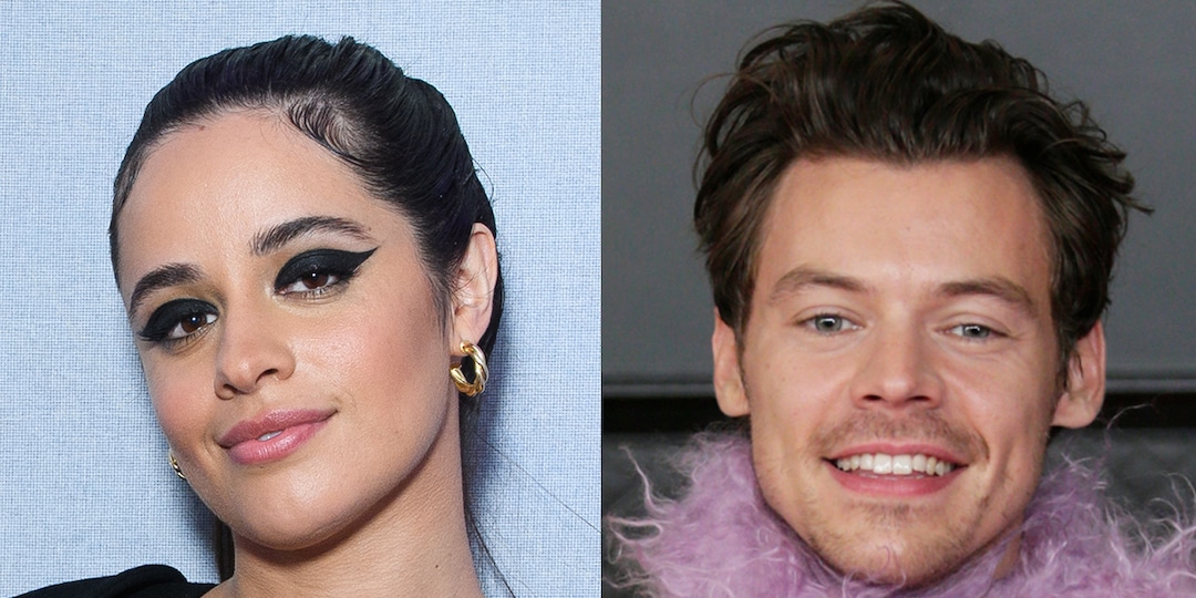 Camila Cabello Auditioned for X Factor to Meet Harry Styles ...