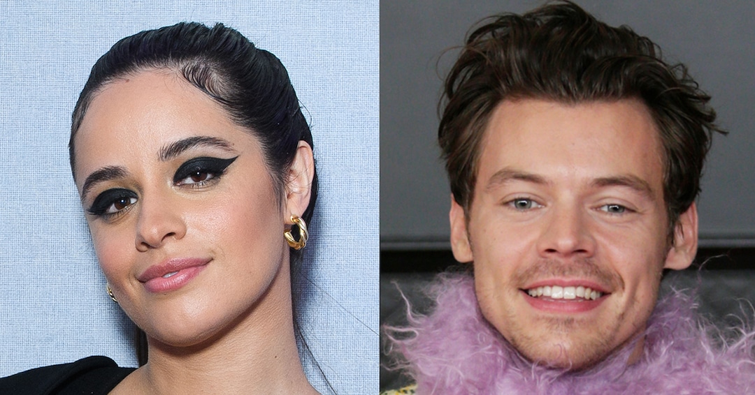 Camila Cabello Auditioned for X Factor to Meet Harry Styles ...