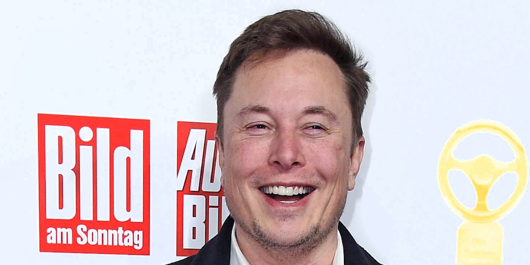 Here's Your Guide to Elon Musk's Complicated Family Tree - E! Online.jpg