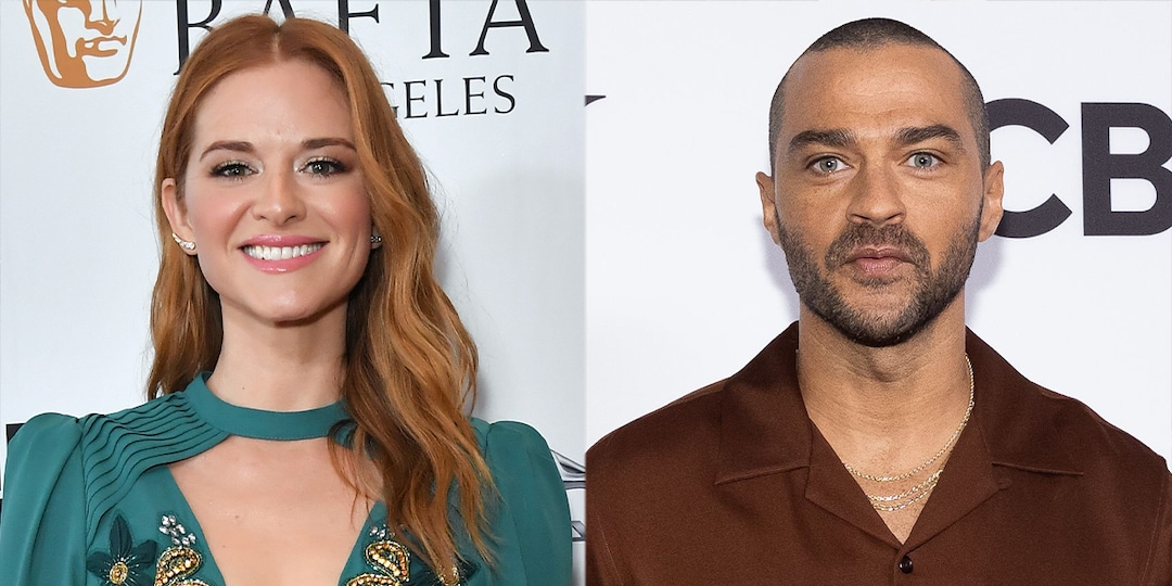 Jesse Williams Thanks Grey's Anatomy Star Sarah Drew for Not "Disturbing" His Play With Her Tears - E! Online.jpg