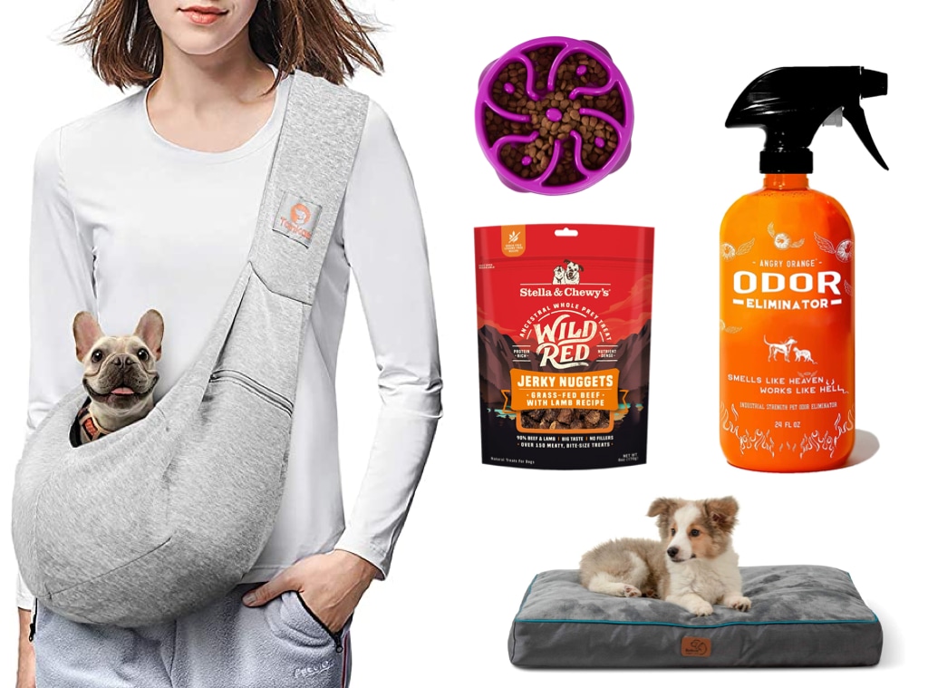 Amazon Pet Day: Score the Best Deals on Pet Food & More Today Only - E!  Online