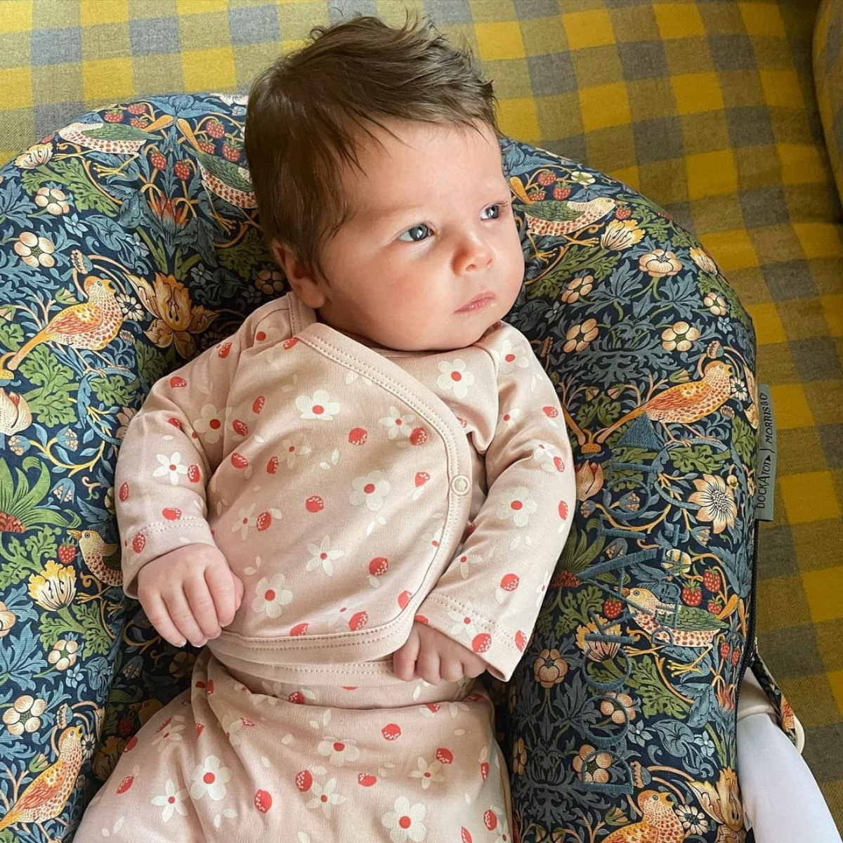 Andy Cohen, Lucy