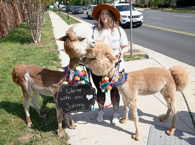 Amber Heard, Johnny Depp