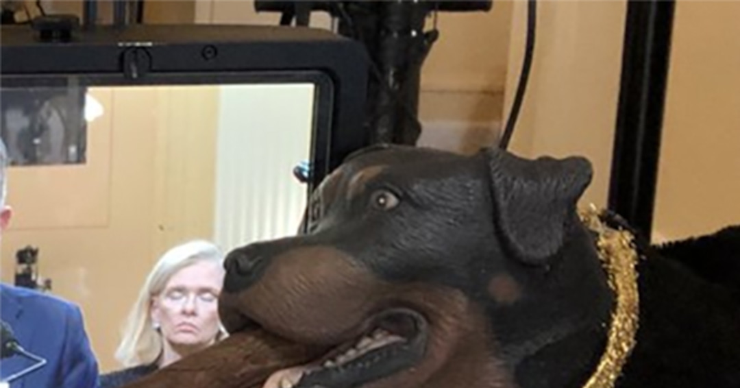 Late Show Production Team Arrested at U.S. Capitol thumbnail