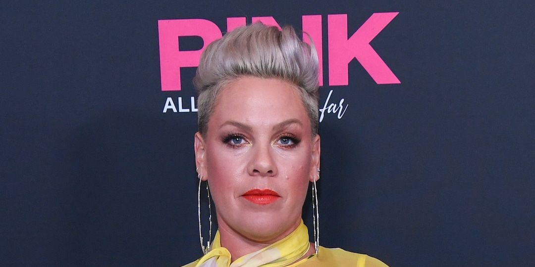 Pink Has a Scathing Message for Her Fans Who Support Supreme Court's Abortion Ruling - E! Online.jpg
