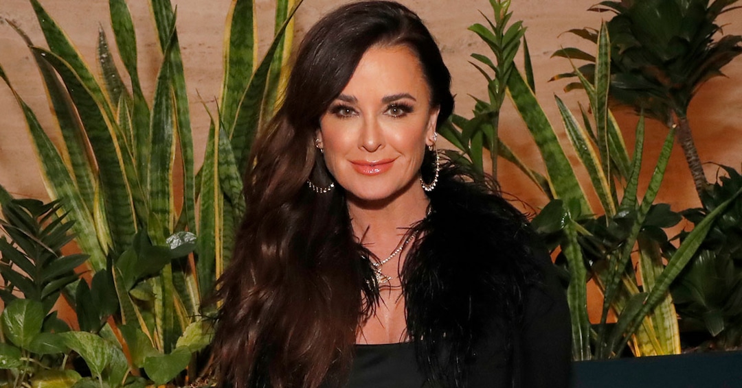 Real Housewives of Beverly Hills ' Kyle Richards Shares Affordable Outdoor Entertaining Essentials thumbnail