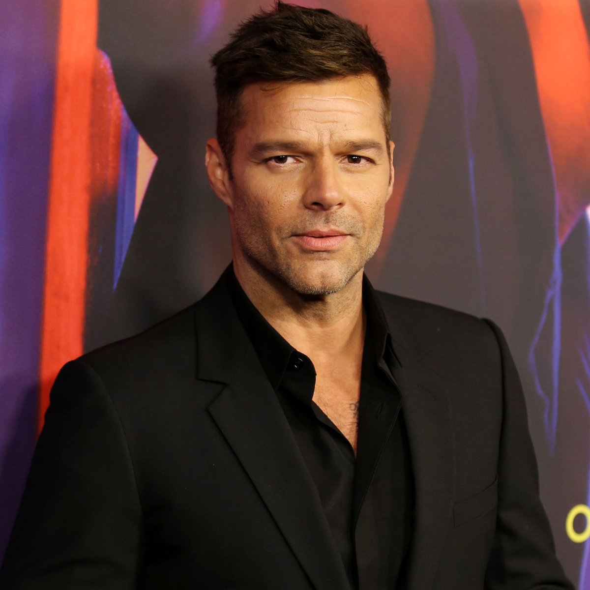 Ricky Martin Denies Domestic Abuse Restraining Order Allegations