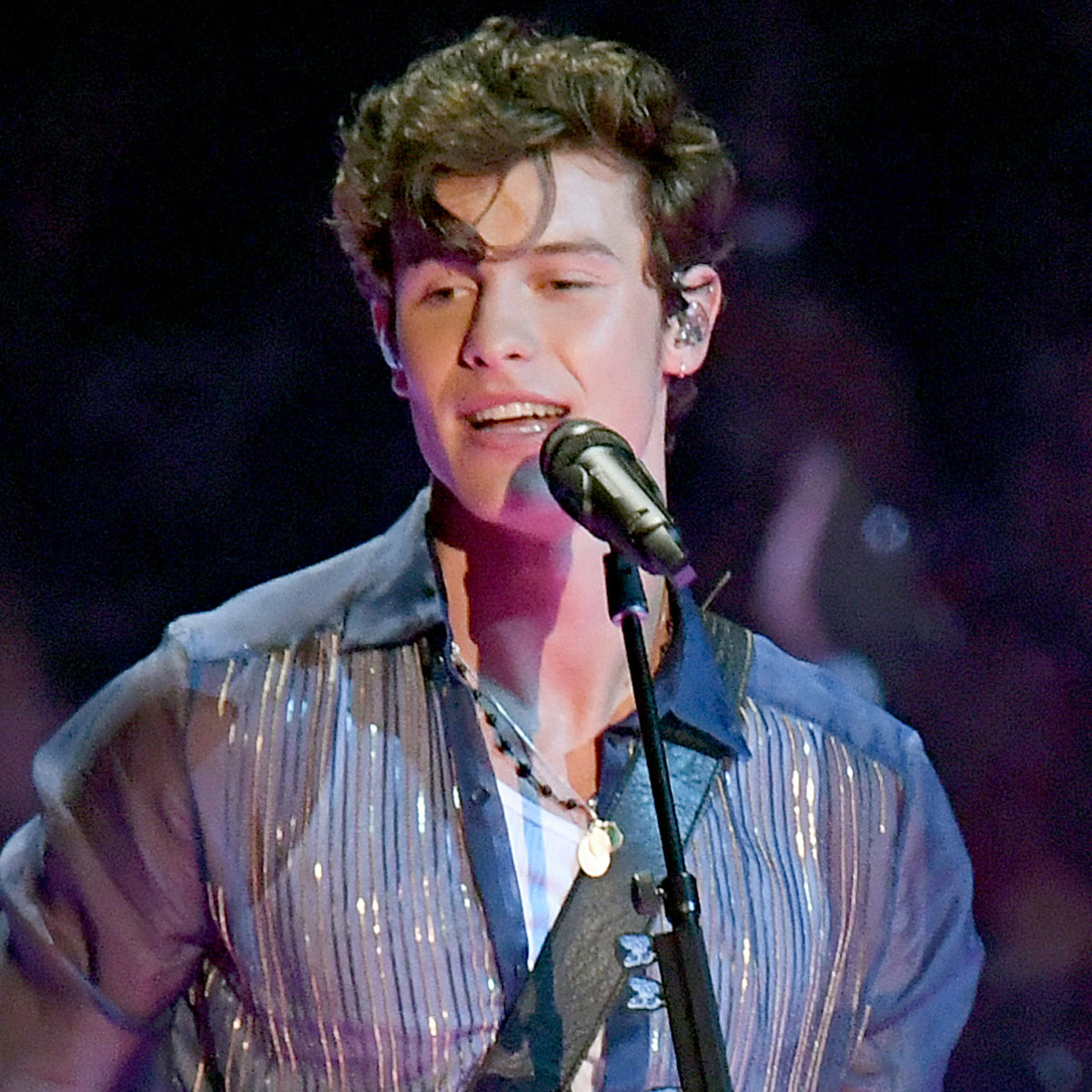 Shawn Mendes Postpones Tour Dates for His Mental Health