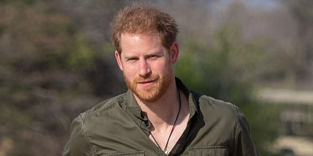 All the Details on Prince Harry's Surprise Trip to Mozambique - E! Online.jpg