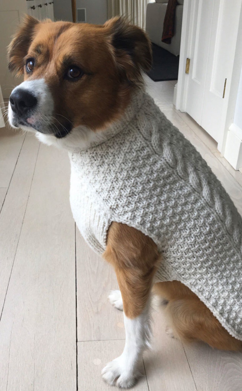 dodgers dog sweater