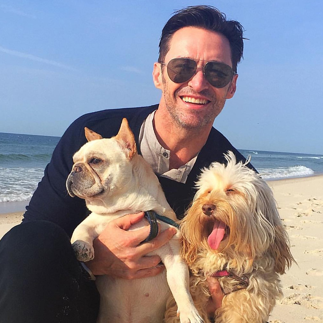 Hugh Jackman Mourns Death of Beloved Dog Dali Hugh Jackman Mourns Death of Beloved Dog Dali