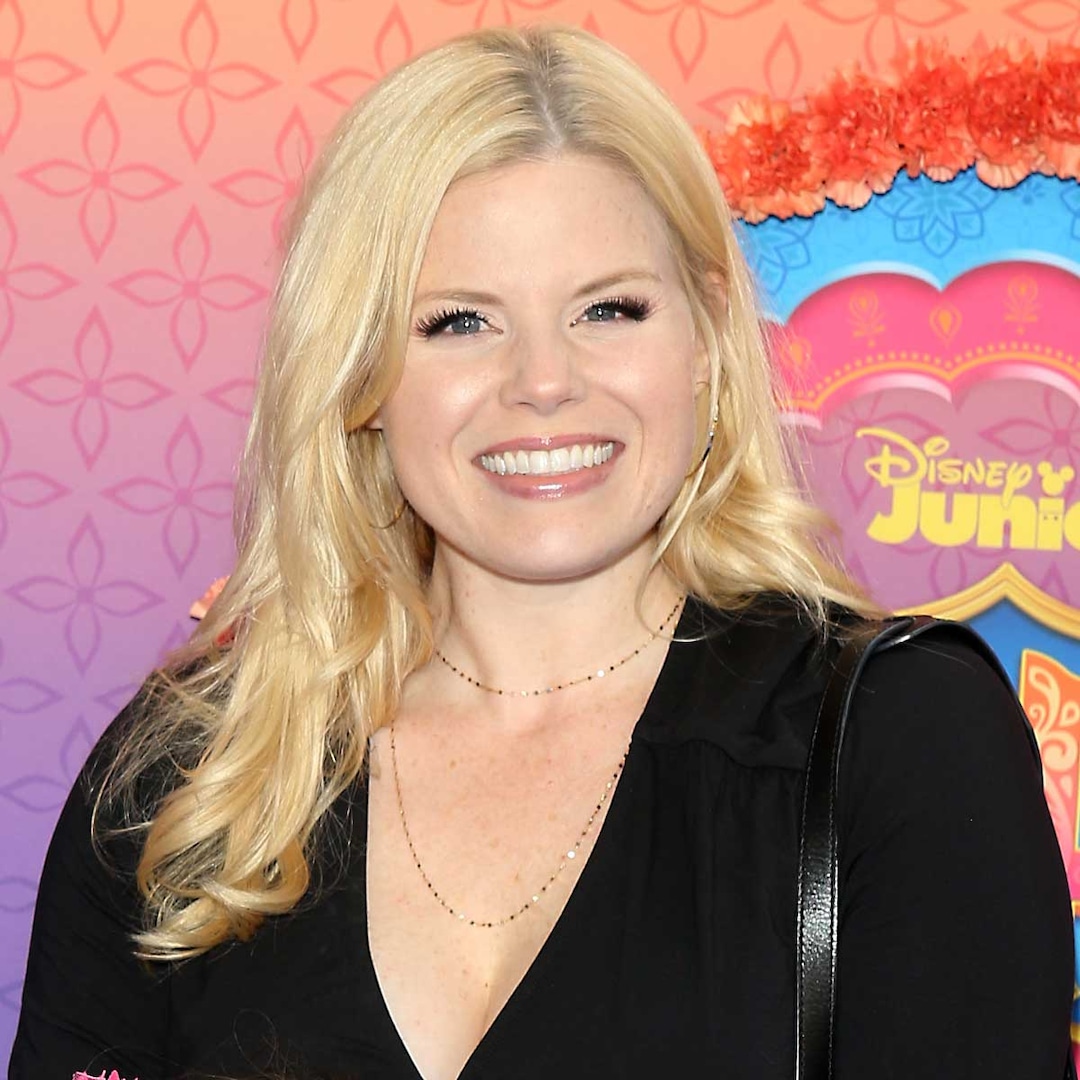 Megan Hilty Family Tragedy: Plane Wreckage Found After Crash in Washington